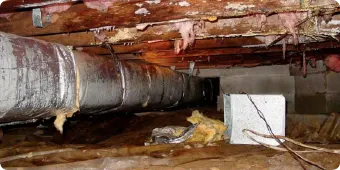 Crawlspace
